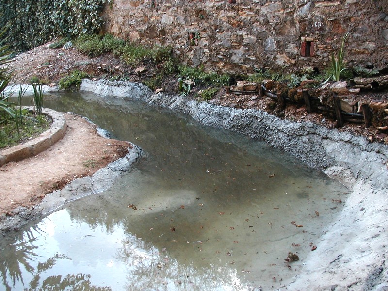 Il Laghetto del Centro di Entomologia - Piombino (LI)